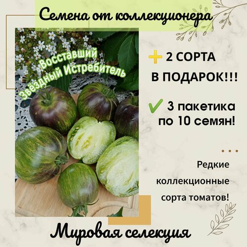 ���� ����� ���������� ������� ����������� ��-16, ������� ��������, ������������� ���� ������ ������