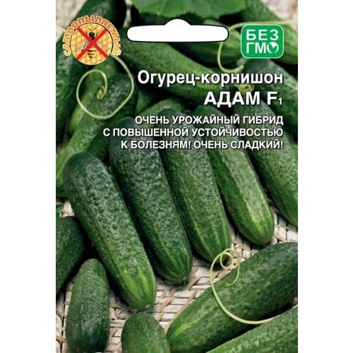 ���� ������������� ������ ������ ���� F1 ������ ������