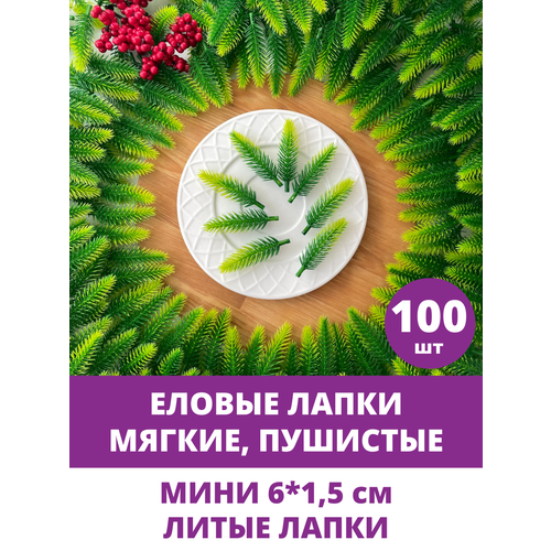 ���� ������ ����� �������������, ����, ����� ������, ��������������, 5,5-6 ��, 100 ���� ������ ������