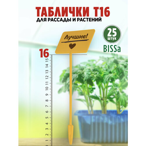 ���� ������� �������� ��� ������� � ��������, Bissa �16, ������, 25 �� ������ ������