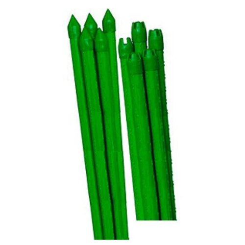 ���� ����� ��� �������� Green Apple �0010290, 5 ��. 5 180 �� 3.2 �� 180 �� 11 �� ������� 0.62 �� 1 ��. ������ ������