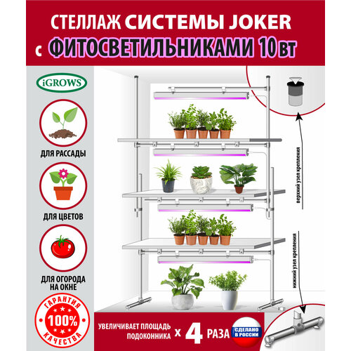 ���� ������� ��� ������� � �������� �������, ��������� , ��������� , � ��������� � ����������������� 4 �� �� 10 �� ��� ���� � ���� ������ ������