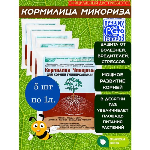 ���� �������� ��� ������� � ����� ������, ������� � ������ ��������, 1� � 5 �� ������ ������