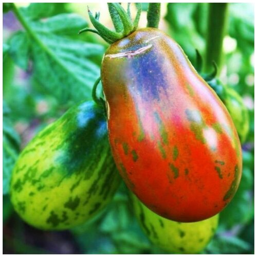 ���� ������ ������ ����� ���� ������� �������� 10 ��. ������ ������