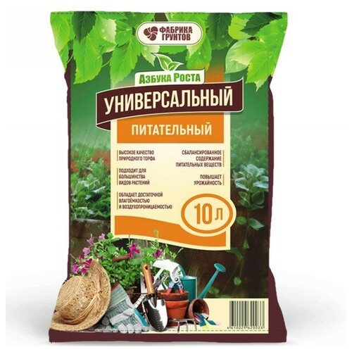 ���� ����� ��� �������� ������������� 10� ������ ������