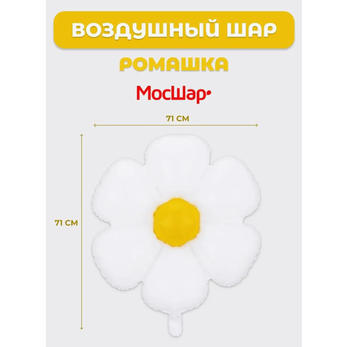 ���� ��������� ��� ������ �������, ���� �� ���� ��������, ��������� ������ ������ ������