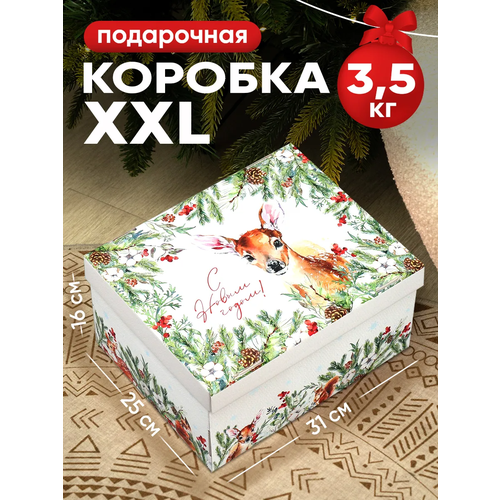 ���� ������� ���������� �� ����� �����!�, 31 � 25 � 16 ��, ���������� ������� ������ ������