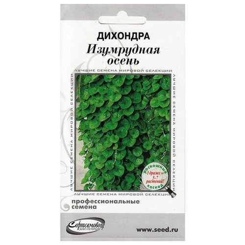 ���� �������� ���������� �����, 3 ����� ������ ������