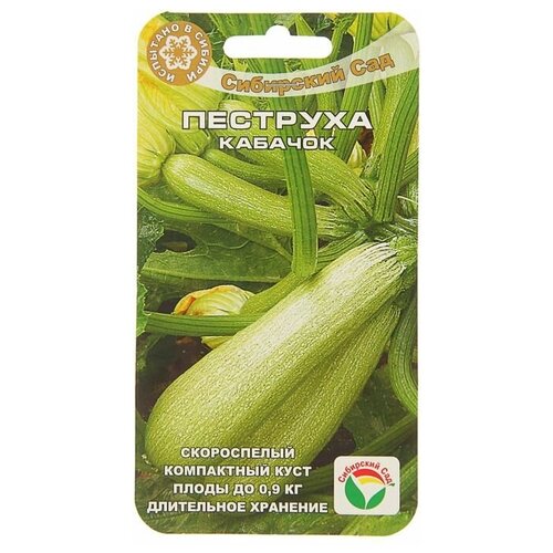 ���� ������ ������� 