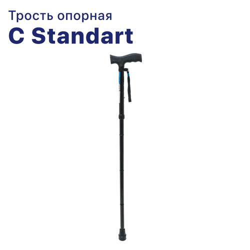  C Standart      -   ()  ,      