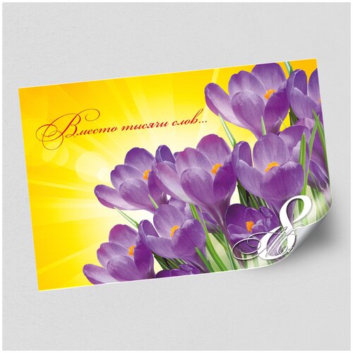 ���� ����������/������ �������������� �� 8 ����� / �-2 (60x42 ��.) ������ ������