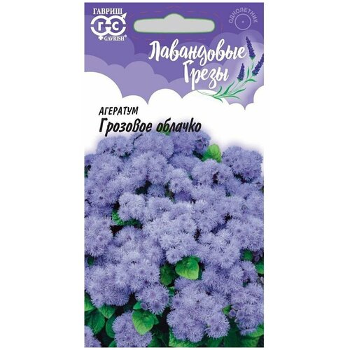 ���� ������ ��������� ���������� ����� �������� ������� ������ ������