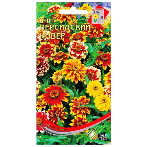 ���� ������ ���������� �����, 65 ����� ������ ������