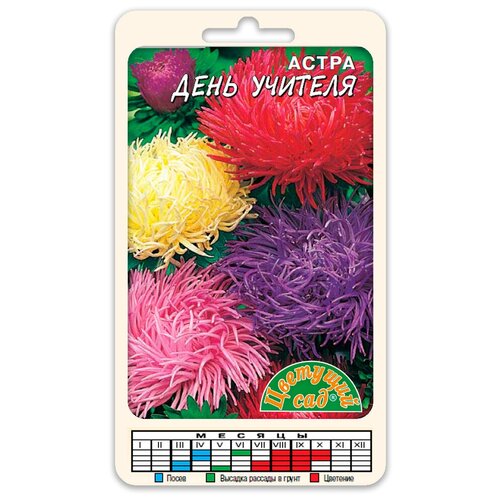 ���� ����� ����� ����� ���� ������� ������������� (������ �������� ��� 0,3 �) ������ ������