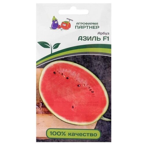 ���� ������ ����� 