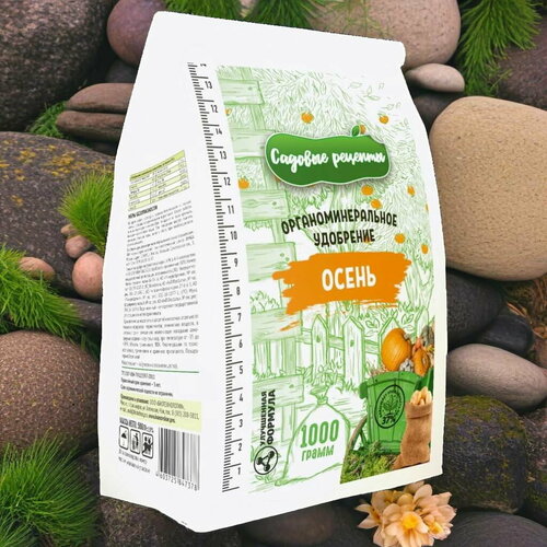 ���� ������� 1�� / 1��. ����������������� ���������. ������� �������. ������ ������