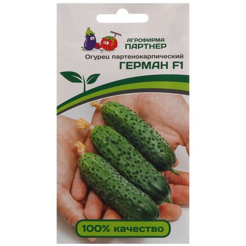 ���� ������ ������ ������� ������ F1 5 ����� ������ ������