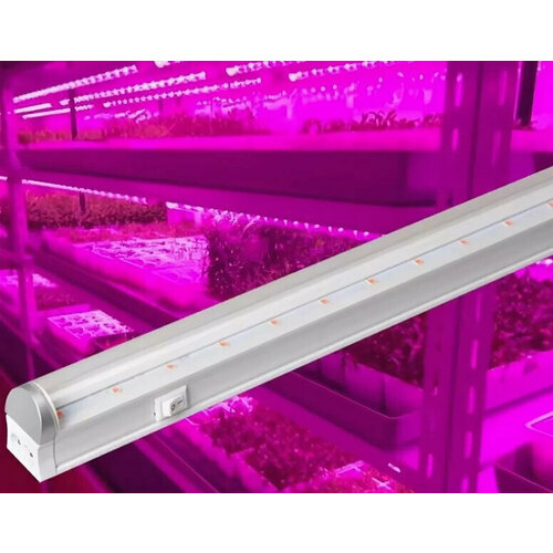  C   Foton Lighting FOTON FL-LED T4-18W PLANTS 22*30*1173 18 220   (  : 2101017  2101018)   -     , -, 