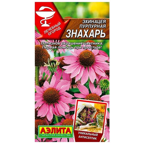 ���� ������. �������� ��������� 