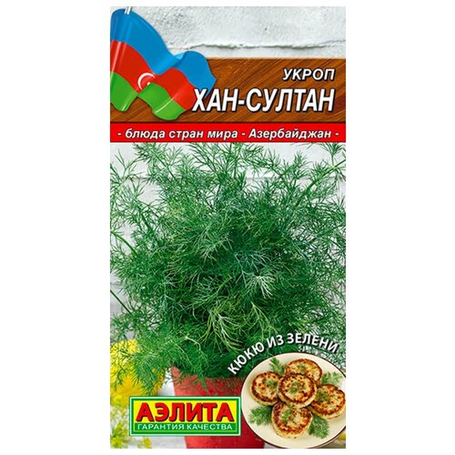 ���� ������. ����� 