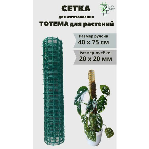 ���� ����� ��� �����-����� ��� �������� 20�20 (07�0,4) �\� ������ ������