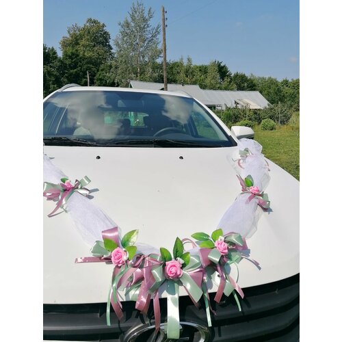 ���� ����� ��������� �� ������. ��������� ��� ���������� ����������. ������ ������