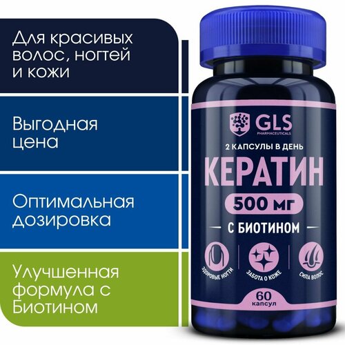 ���� �������� ������� + ������ 500��, ��� / �������� ��� �����, ���� � ������, 60 ������ ������ ������