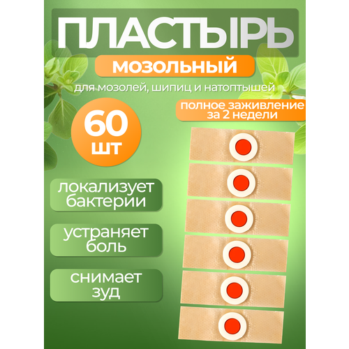 ���� �������� ��������� �������� ��������� ��� ������������ �������, ���������� � ��������� �� ����� - 60 ���� ������ ������