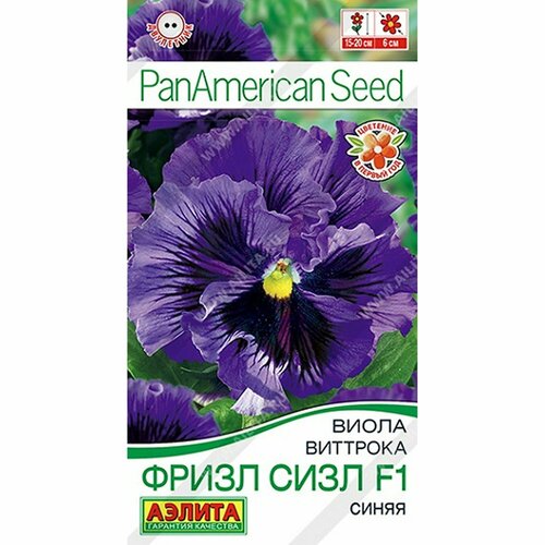 ���� ������ ����� ����� ���� F1 ����� ����. , ���������, (������) 5�� PanAmerican ������ ������