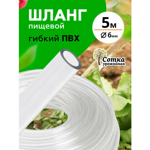 ���� ����� ��� d= 6�� (5 �) `��������� �����` ������ ������