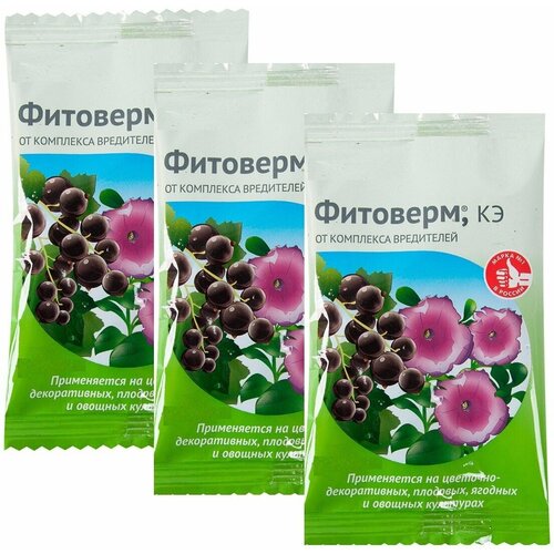 ���� ����������� ����������� 