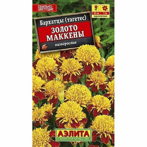 ���� ������ �������� ������ ������� ����������, (������) 0,3� ������ ������