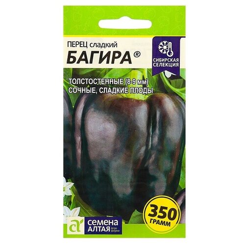 ���� ������ ����� 