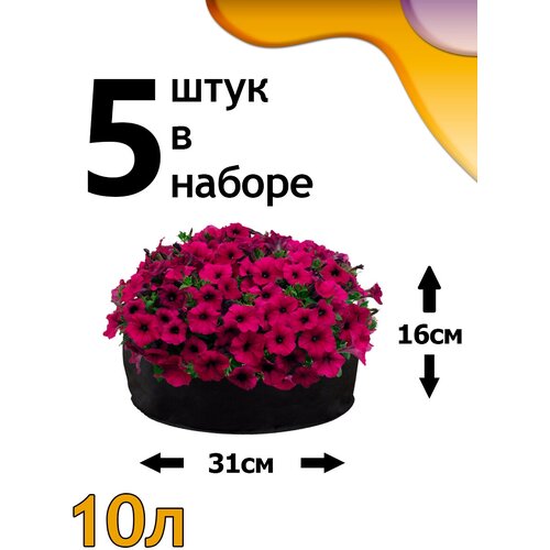 ���� ������ ���� 10� - 5�� ������ ������
