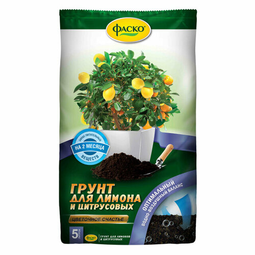 ���� ���������� ��� ���������� �������� ����� 5� ������ ������