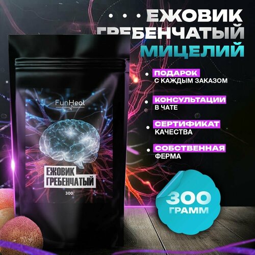 ���� ������ ����������� ������� ������� ������ ������