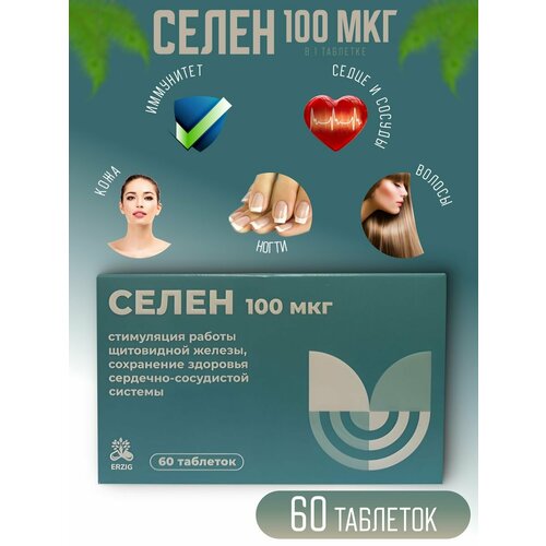 ���� ����� 100 ��� � 60 ������ ������