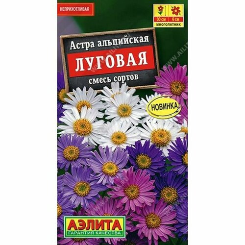 ���� ������ ����� �������, ����������, ����� ������, �����������, (������) 0,1� ������ ������