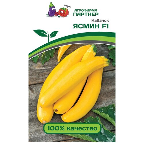 ���� ������ ������� 