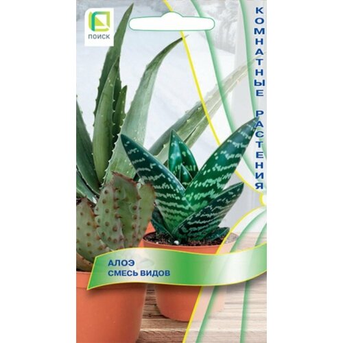 ���� ���� ���� ����� (10 �����) ������ ������