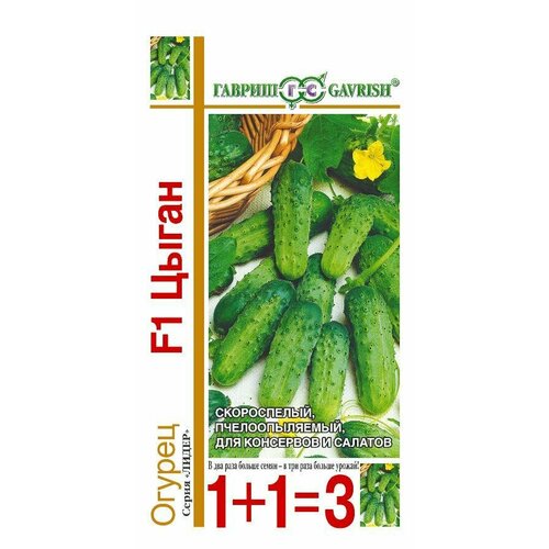 ���� ������ ������ ����� F1 20�� �� ������ (������) 1+1 ������ ������