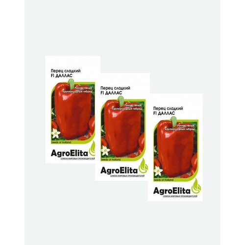      F1, 5, AgroElita, Enza Zaden(3 )   -     , -, 