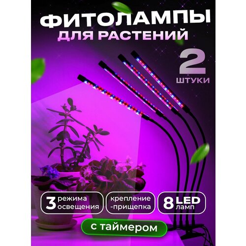 ���� ���������������� ����� ��� �������� �� �������� Ocean of Light, , ��������� ��� �������� ������������, �������������� ������ ������ ������ ������