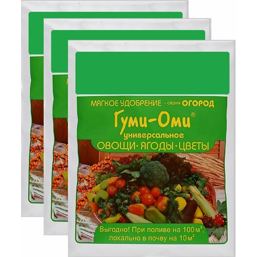 ���� ��������� 