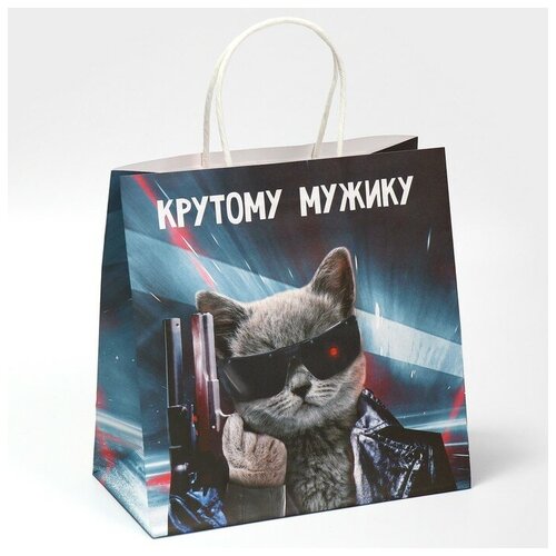 ���� ����� ���������� ��������� �������, 22 � 22 � 11 �� ������ ������