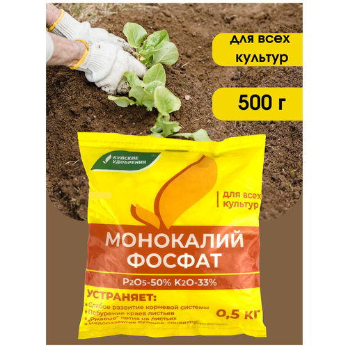 ���� ��������� ��������������� (���������� �����), 0,5 ��, 1 �������� �� 500 �. ������ ������