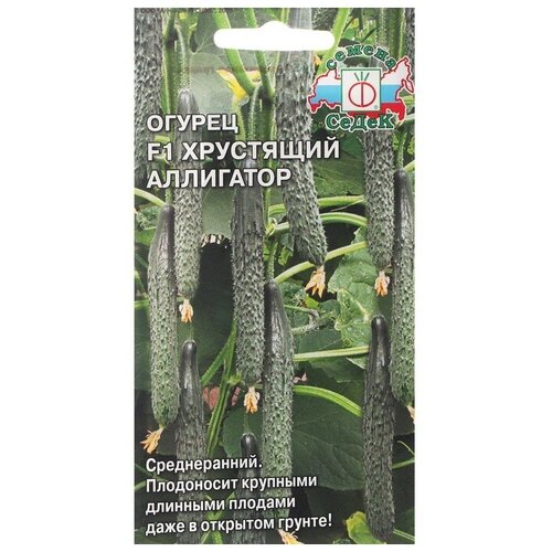 ���� ����� ������ ������ 