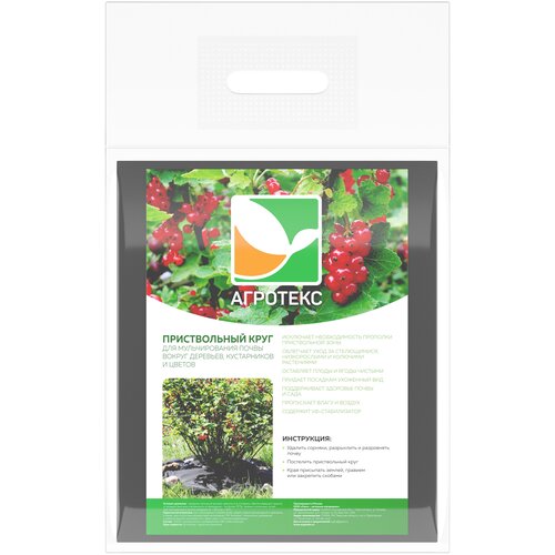 ���� ������������ ���� 