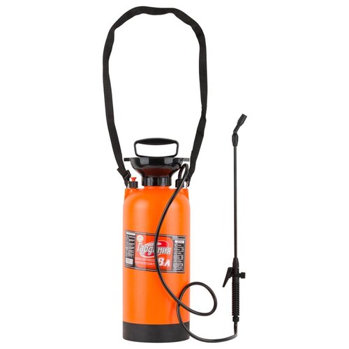 ���� �������������  �������-���� �������� 8 � ������ ������