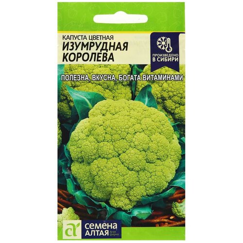 ���� ������ ������� ������� 